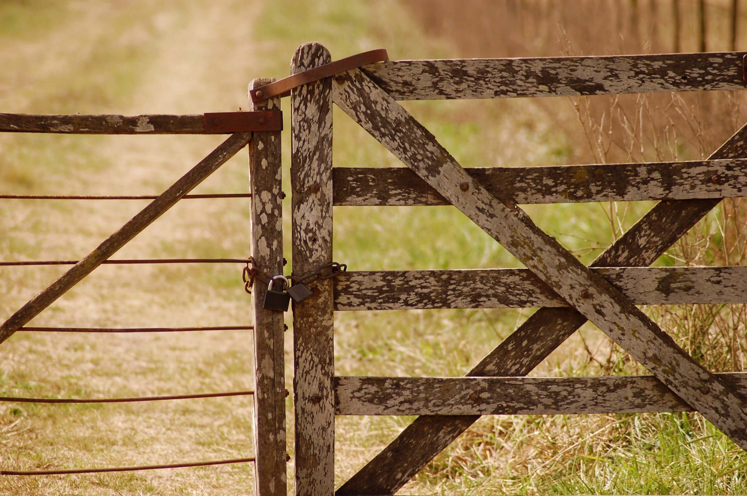 The Gateless Gatekeepers